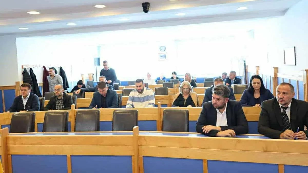 Otmica Aldina Šalake izazvala je veliku pažnju i zbog političkog konteksta koji prati njegov rad u Skupštini