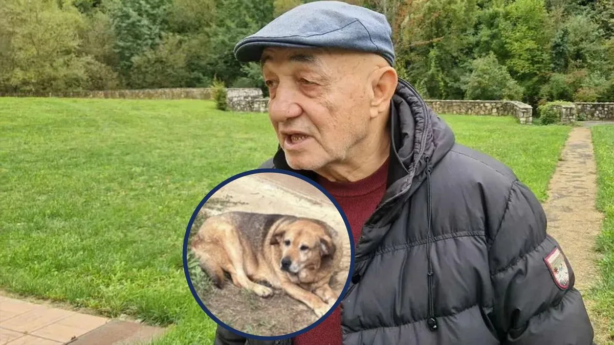 Udruženje “Prijatelji životinja” reagovalo na navode o psu Halida Bešlića: “Pas je pregledan, ali nije dozvoljeno vađenje krvi”