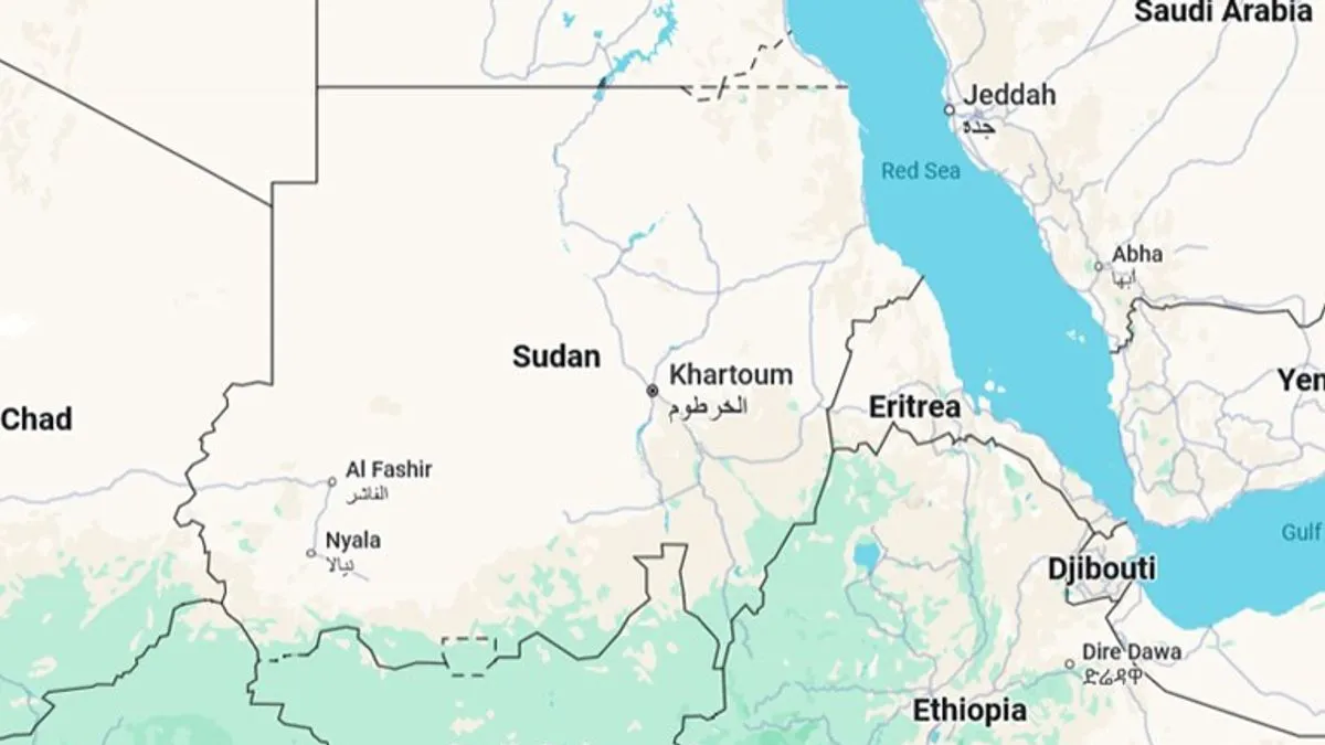 Svijet je zgrožen užasom u Sudanu: Šta se tamo stvarno događa?