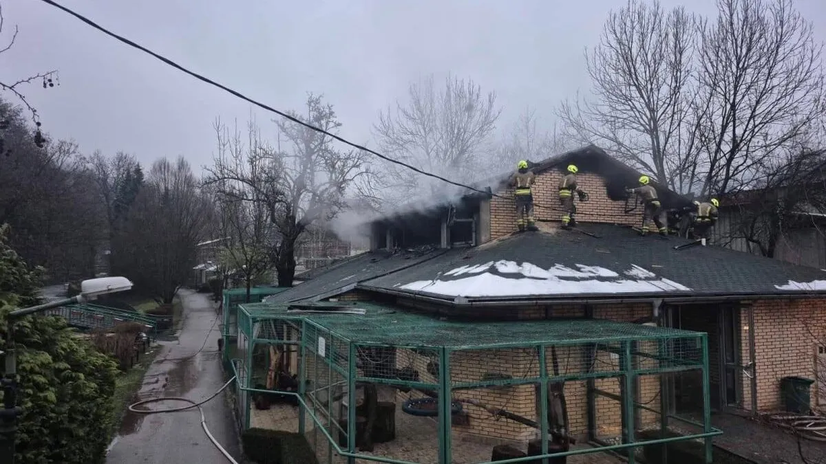 Požar u Pionirskoj dolini: Prve fotografije s lica mjesta