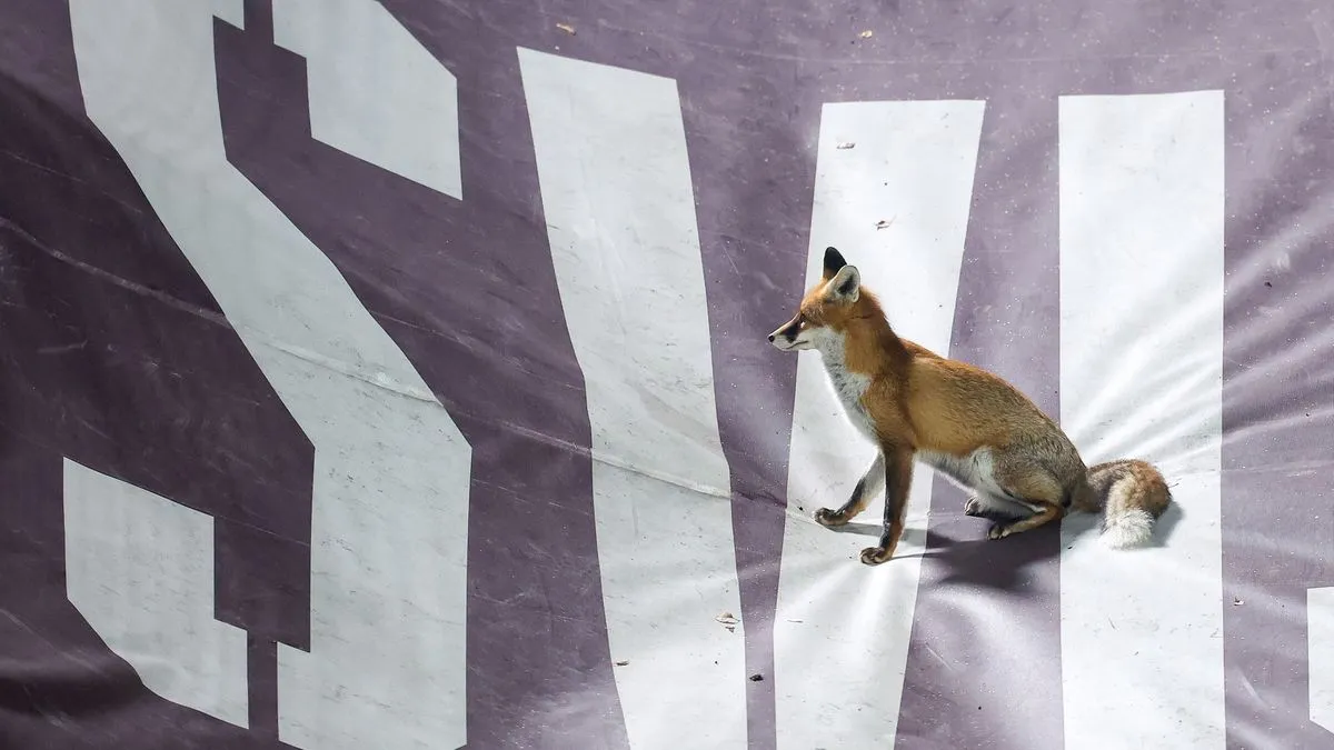 Reprezentacija BiH 15. novembra dočekuje Rumuniju u Zenici, a onda tri dana kasnije gostuje Austriji u Beču