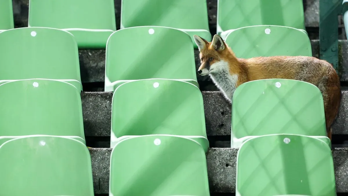 Reprezentacija BiH 15. novembra dočekuje Rumuniju u Zenici, a onda tri dana kasnije gostuje Austriji u Beču