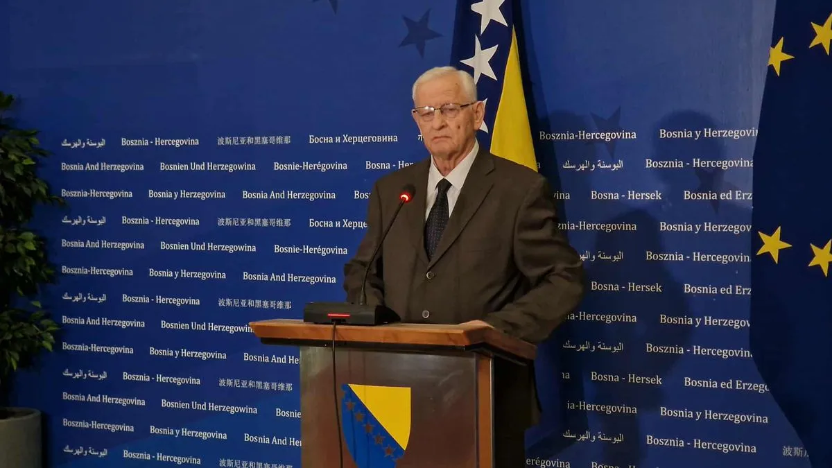 Stručnjaci i diplomate u Sarajevu: BiH kao 'Evropa u malom' zaslužuje brži put ka EU