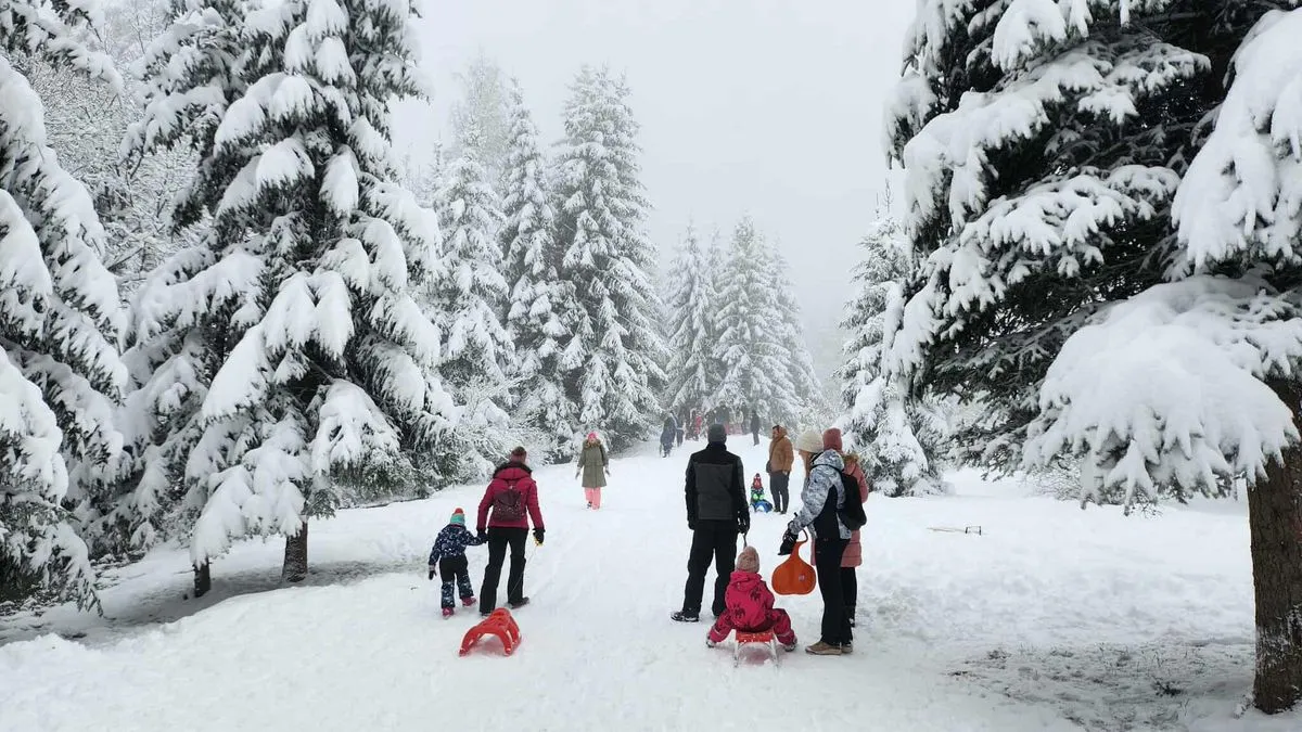 Vozila zaglavila na putu prema Trebeviću: Problemi su zabilježeni i u drugim dijelovima zemlje