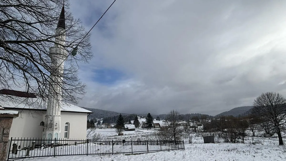 Nakon pada Žepe 27. jula Palić je zarobljen nakon što se odazvao na pregovore s vrhom srpskih snaga, predvođenih ratnim zločincem Ratkom Mladićem. 