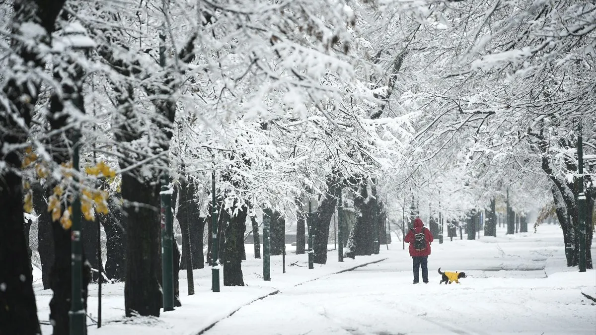 Temperature zraka u 13 sati (°C): Livno -2; Jajce, Sarajevo, Tuzla 0; Banja Luka, Bijeljina, Prijedor, Srebrenica 1; Doboj 2; Mostar 4; Trebinje 10;
