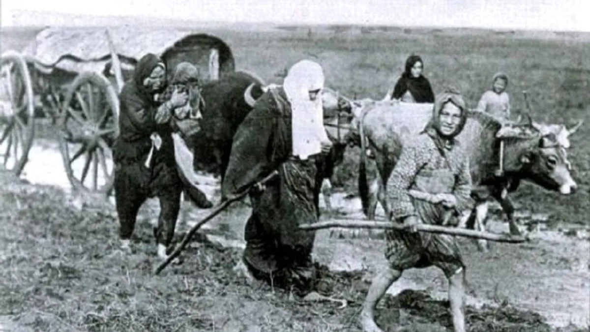 Kao Platforma za žrtve prisilnih migranata iz Crne Gore, uputili su službeno pismo 37 institucija, uključujući crnogorski parlament, ministarstva i vladine agencije 