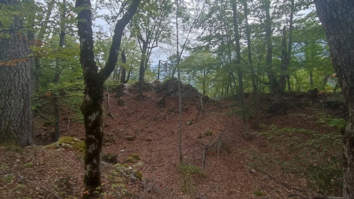 Riječ je o lokaciji do koje gotovo niko ranije od stručnjaka nije dolazio, skrivenoj u gustoj šumi, visoko iznad rijeke Drine