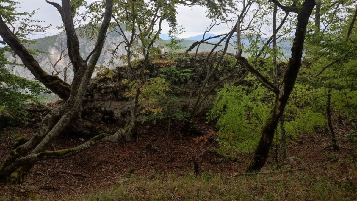 Riječ je o lokaciji do koje gotovo niko ranije od stručnjaka nije dolazio, skrivenoj u gustoj šumi, visoko iznad rijeke Drine