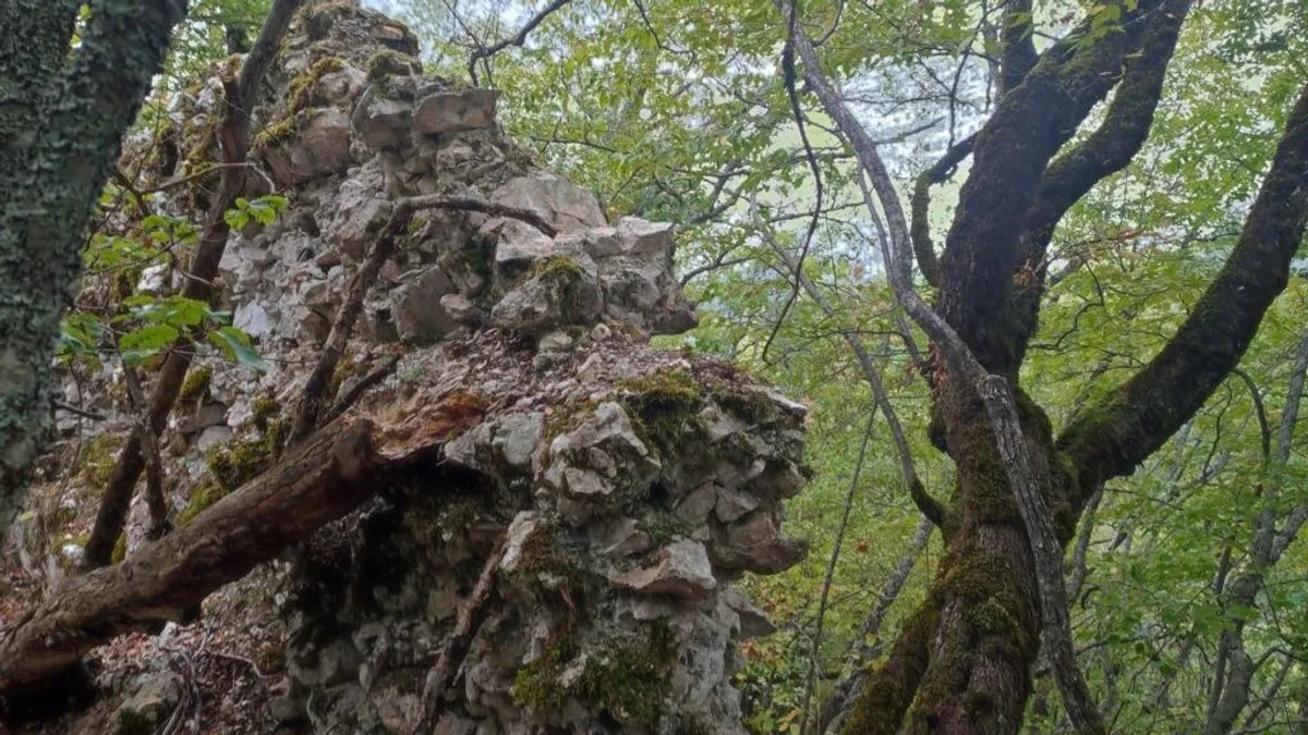 Riječ je o lokaciji do koje gotovo niko ranije od stručnjaka nije dolazio, skrivenoj u gustoj šumi, visoko iznad rijeke Drine