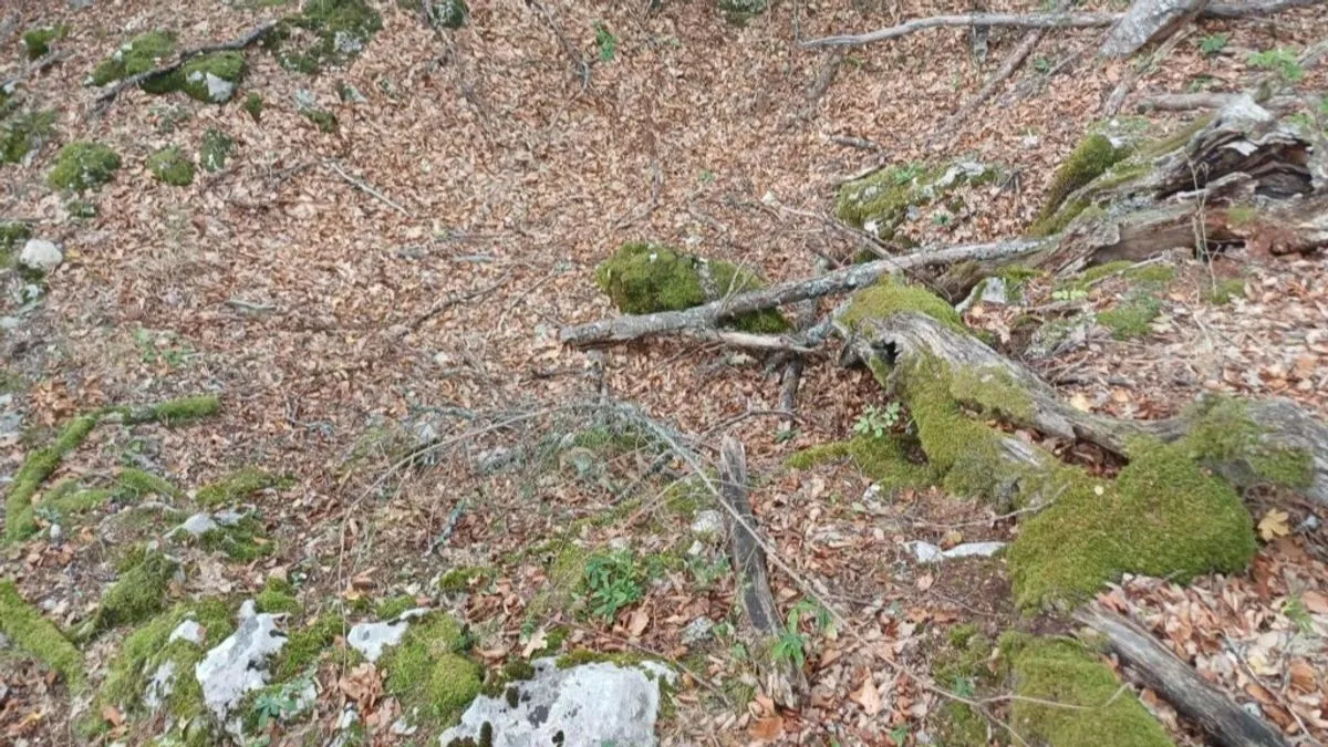 Riječ je o lokaciji do koje gotovo niko ranije od stručnjaka nije dolazio, skrivenoj u gustoj šumi, visoko iznad rijeke Drine