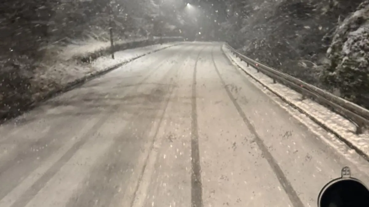 Nadležne službe za čišćenje puteva još jednom su zakazale, pa je već s prvim ozbiljnijim padavinama došlo do zastoja, blokada i otežanog kretanja vozila.