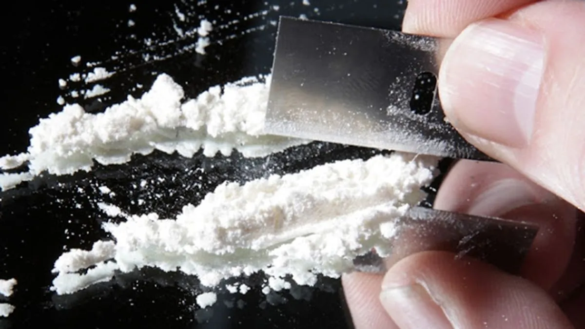 'Narko situacija' jer riba smrdi od glave!