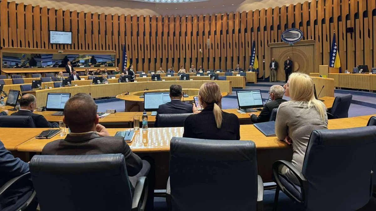 Budžet su ranije usvojili ministri u Vijeću ministara BiH, članovi Predsjedništva BiH te zastupnici u Predstavničkom domu