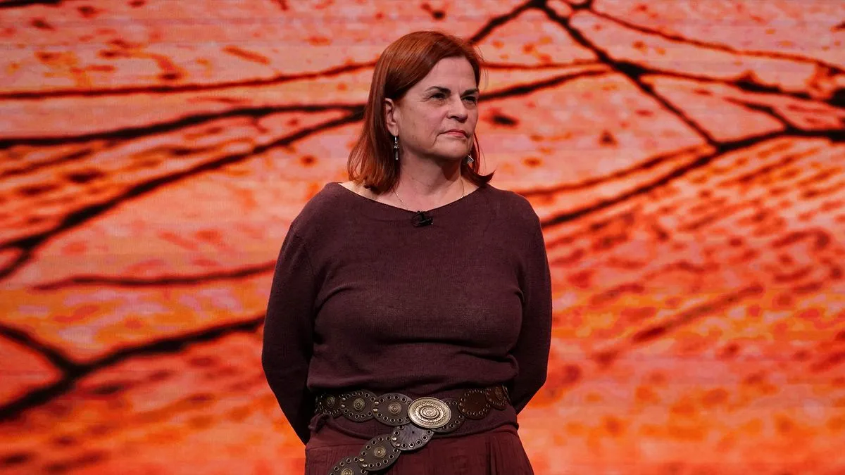 U sjevernim evropskim zemljama, poput skandinavskih država i Nizozemske, antibiotska rezistencija je vrlo niska