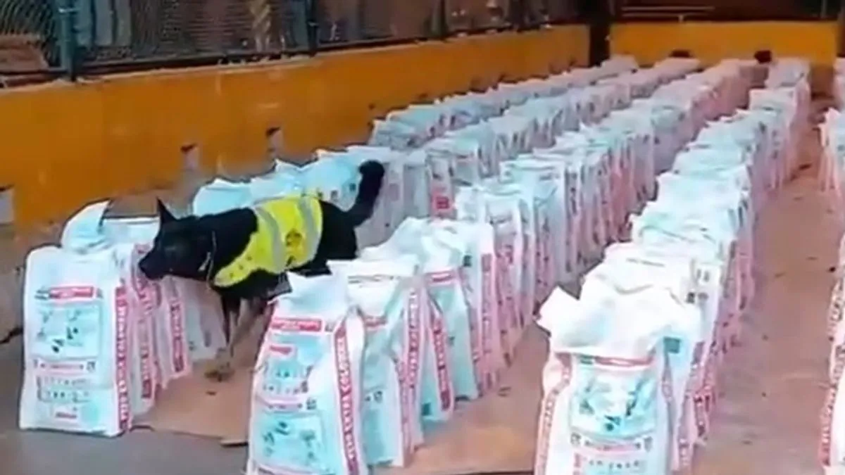 Zapljena se dogodila usred rasprave o američkoj politici prema drogama