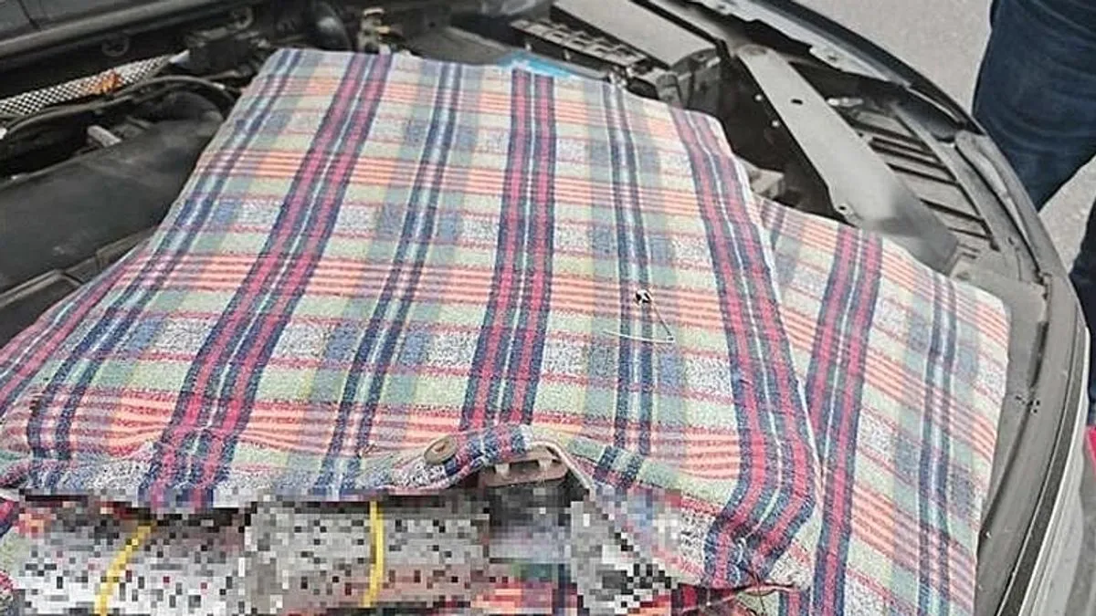 Protiv počinitelja je podnesena krivična prijava zbog sumnje u počinjenje krivičnog djela neovlaštena proizvodanja i promet drogama.