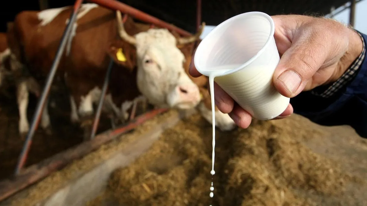 Proizvođači upozoravanju: Nema viška mlijeka na tržištu, regulišite uvoz ili izlazimo na granice