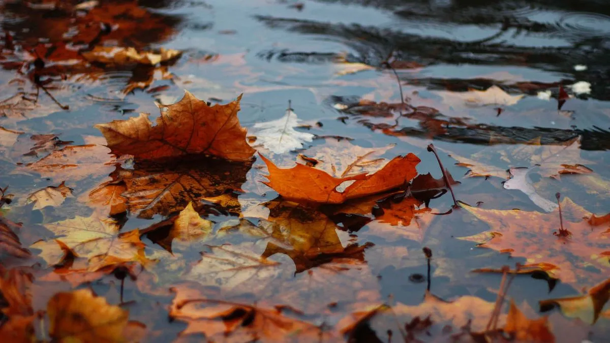 Najavljuju da je u ponedjeljak na višim planinama moguće i malo snijega