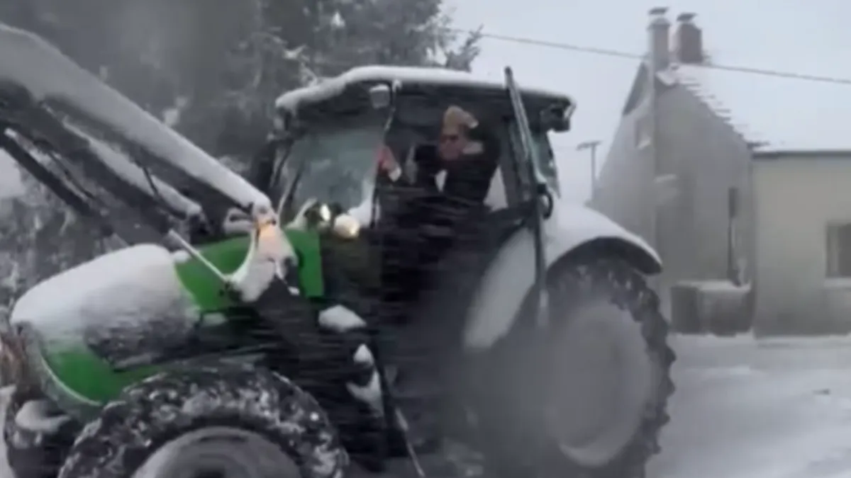 Glavnu ulogu u ovoj nesvakidašnjoj “operaciji čišćenja” preuzeo je kum, a pridružio mu se i mladoženja.