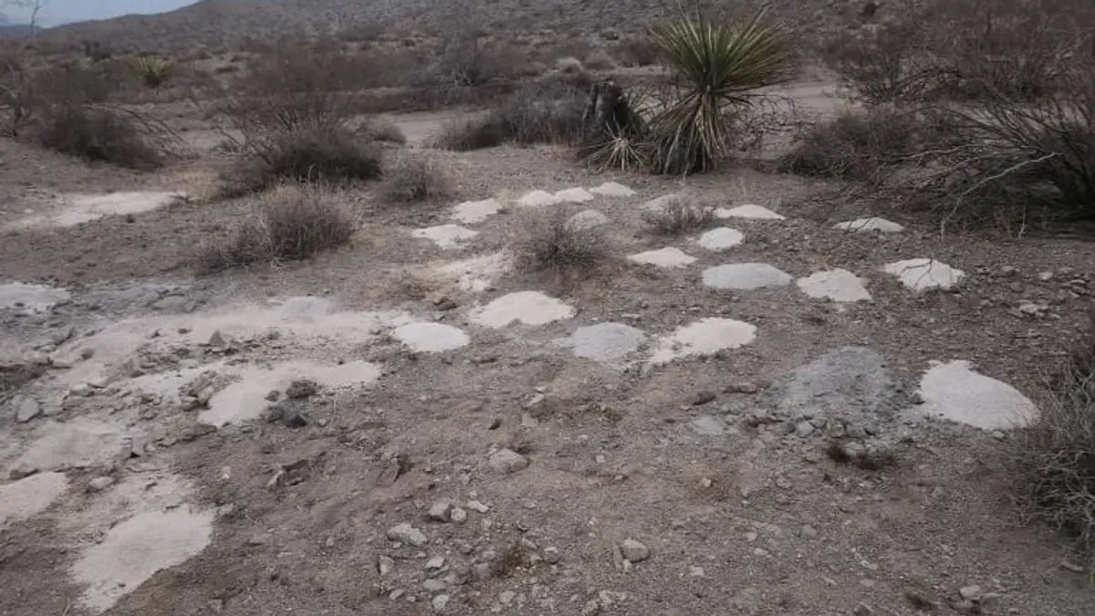 I dok BLM i Metropolitanska policijska uprava Las Vegasa navodno nastavljaju istragu, porijeklo posmrtnih ostataka nije jasno