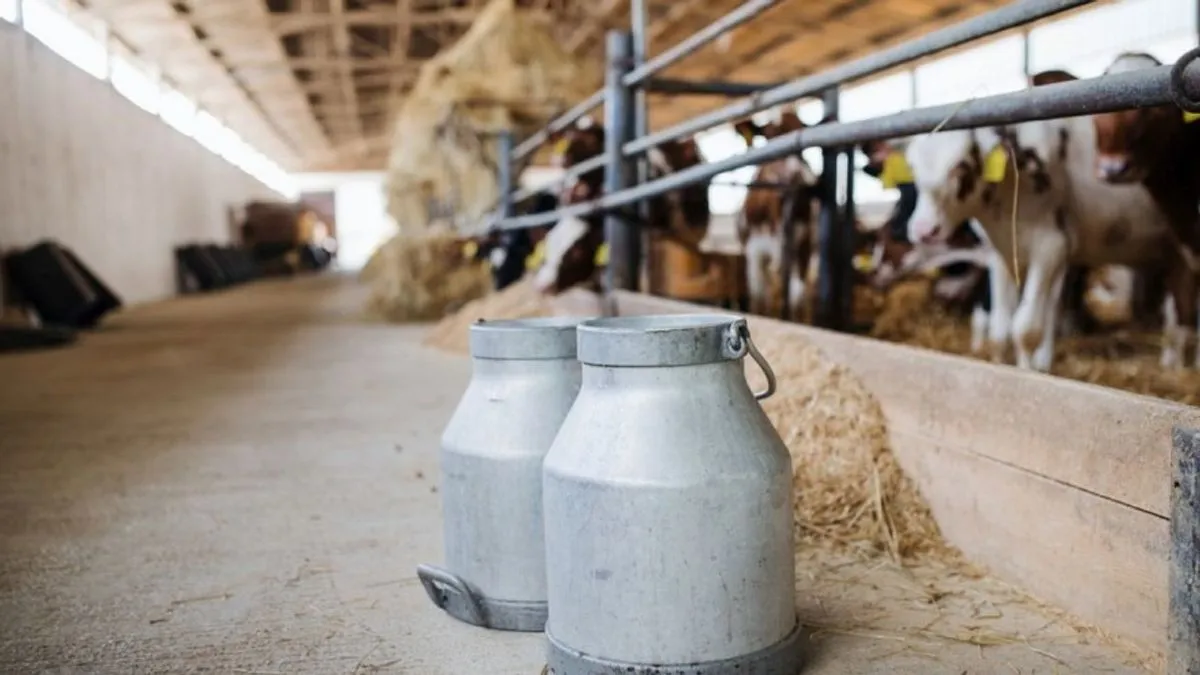 Proizvođači su ove godine proizveli više od 150 miliona litara mlijeka, što je u odnosu na 2024. godinu više za 10 miliona litara