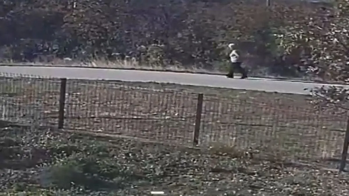 U potrazi se koriste tri termalna drona i jedan potražni pas