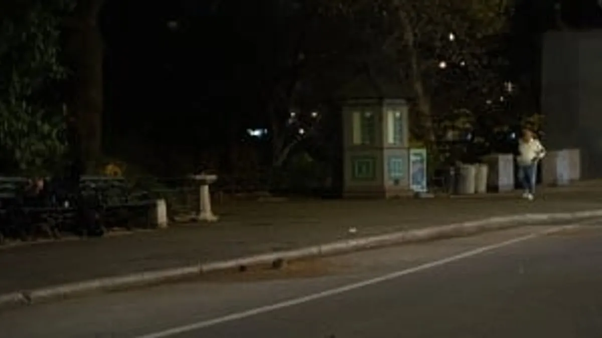 Sve veći broj pacova na ulicama u New Yorku ponovo izaziva veliku pažnju javnosti.