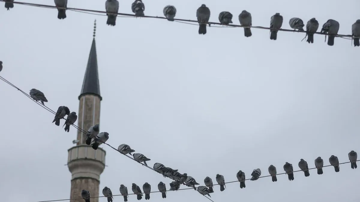 Decembar kakvom se nismo nadali: Pogledajte kakvo vrijeme nas očekuje