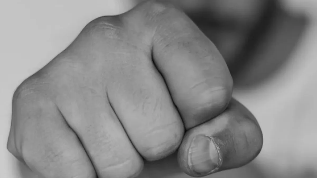  jednom trenutku je, kako se sumnja, P. M. fizički nasrnuo na njih i zadao im više udaraca 