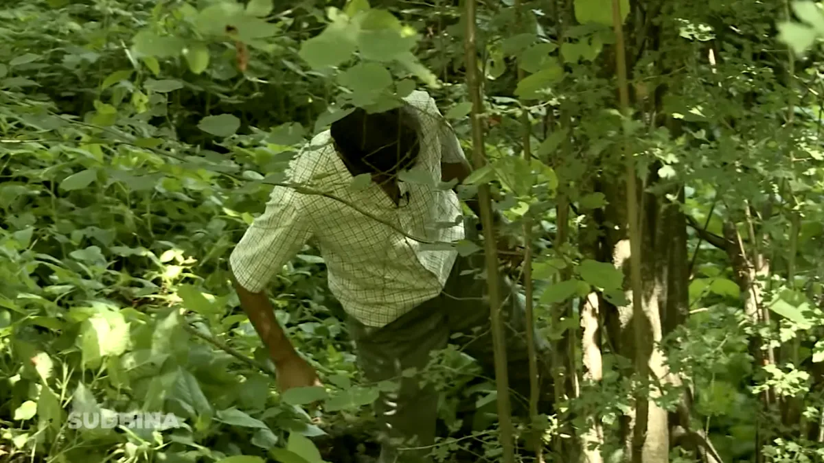 Sakupljač kostiju: Šutnja Ramiza Nukića bila je glasnija od svih govora