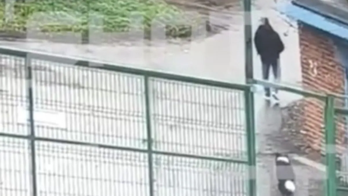 Vlasnici nestalih kućnih ljubimaca sumnjaju da je mogao biti odgovoran za smrt više od 20 pasa, u posljednjih šest godina, ali za sada nema dokaza za to.