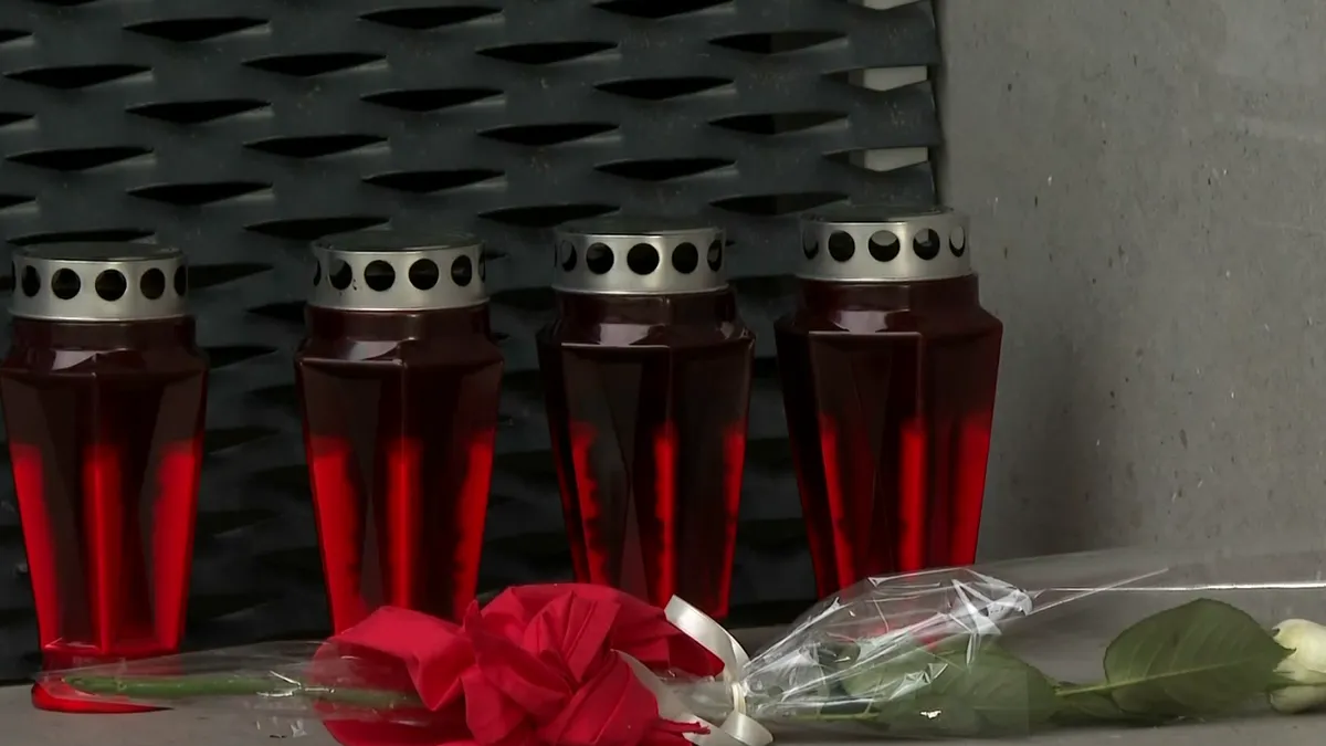 Jedan komentar može uništiti nečiji život, poručila je Demić govoreći o društvenim mrežama