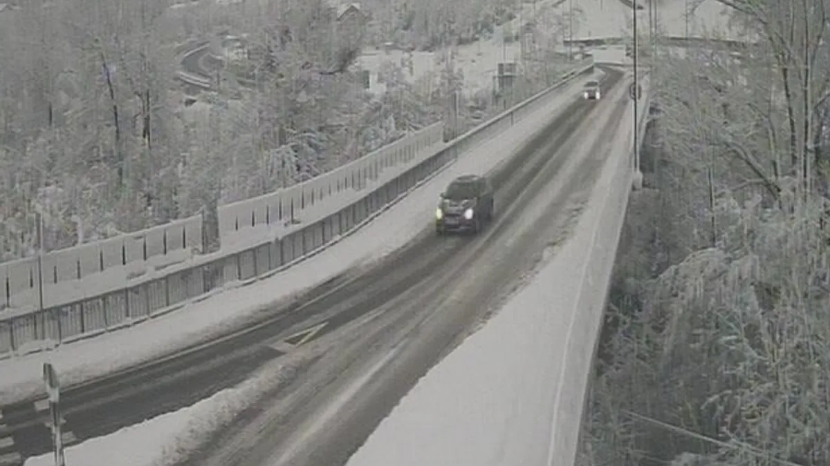 Na graničnim prelazima zadržavanja za putnička vozila nisu duža od 30 minuta