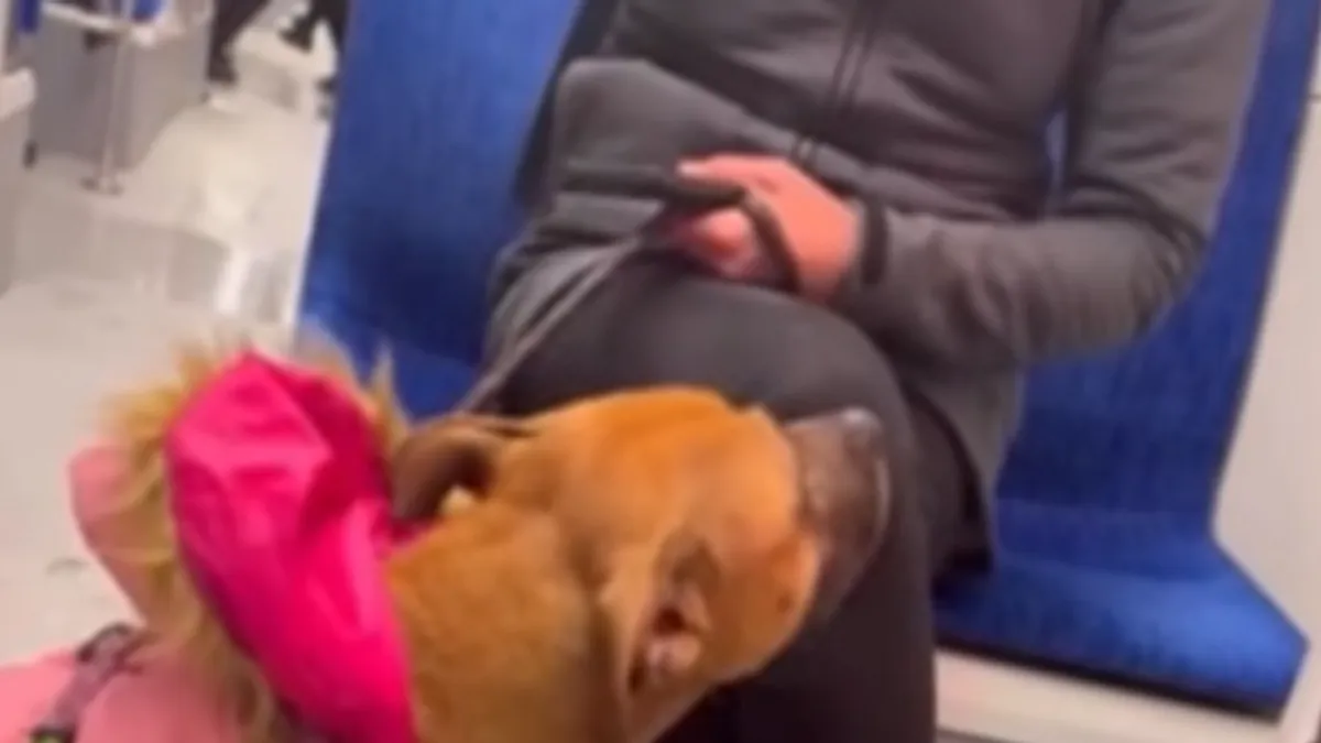 Da je postupio drugačije, suprotno navedenom Zakonu, vozač bi snosio određene sankcije 