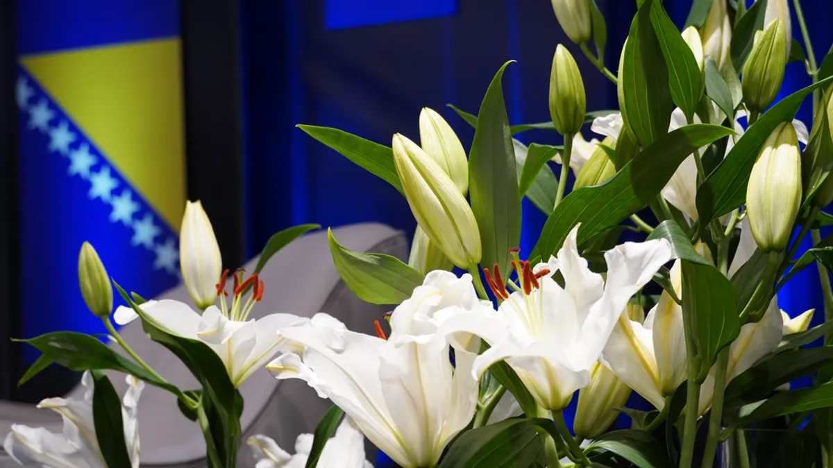 Od ranih jutarnjih sati, bit ćemo zajedno sa gostima u studiju koji će nas podsjetiti na našu prošlost, te nas inspirirati da s ponosom gledamo u budućnost