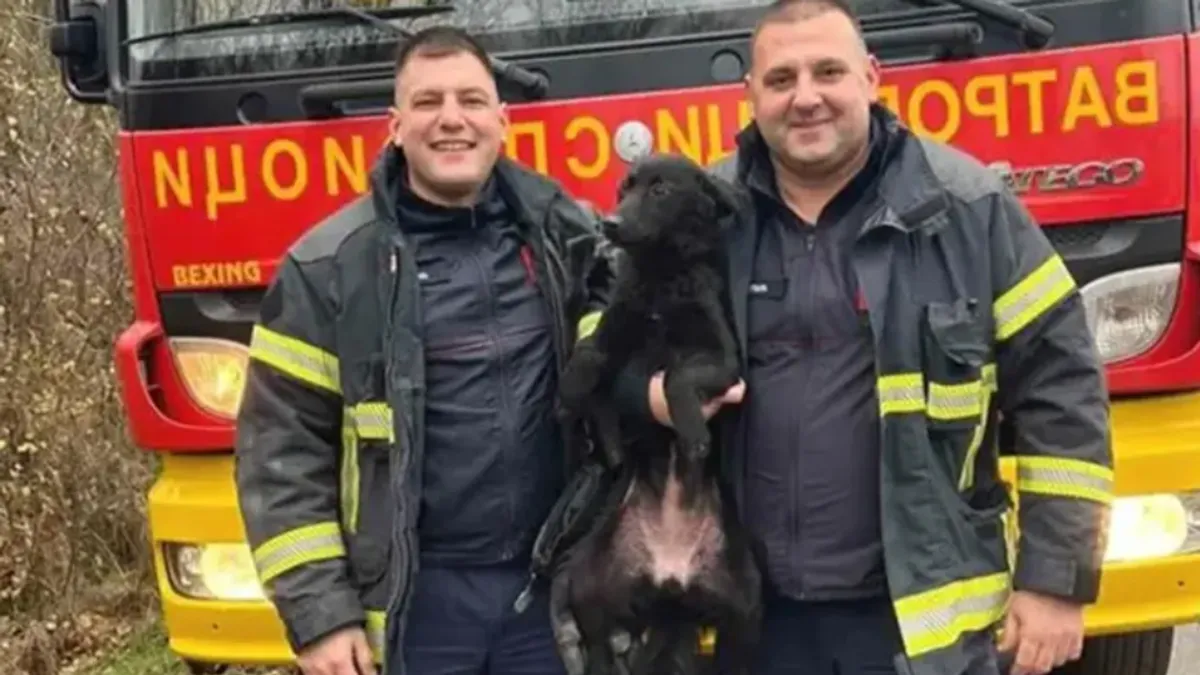 Intervencija je, zahvaljujući njihovoj stručnoj obuci, brzom reagovanju i izuzetnoj profesionalnosti, završena bez povreda