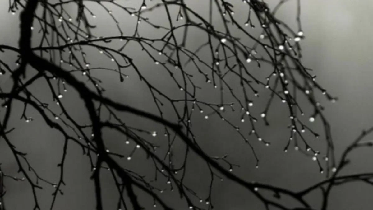 Usljed povećane oblačnosti i povremenih padavina hladnije vrijeme u narednim danima