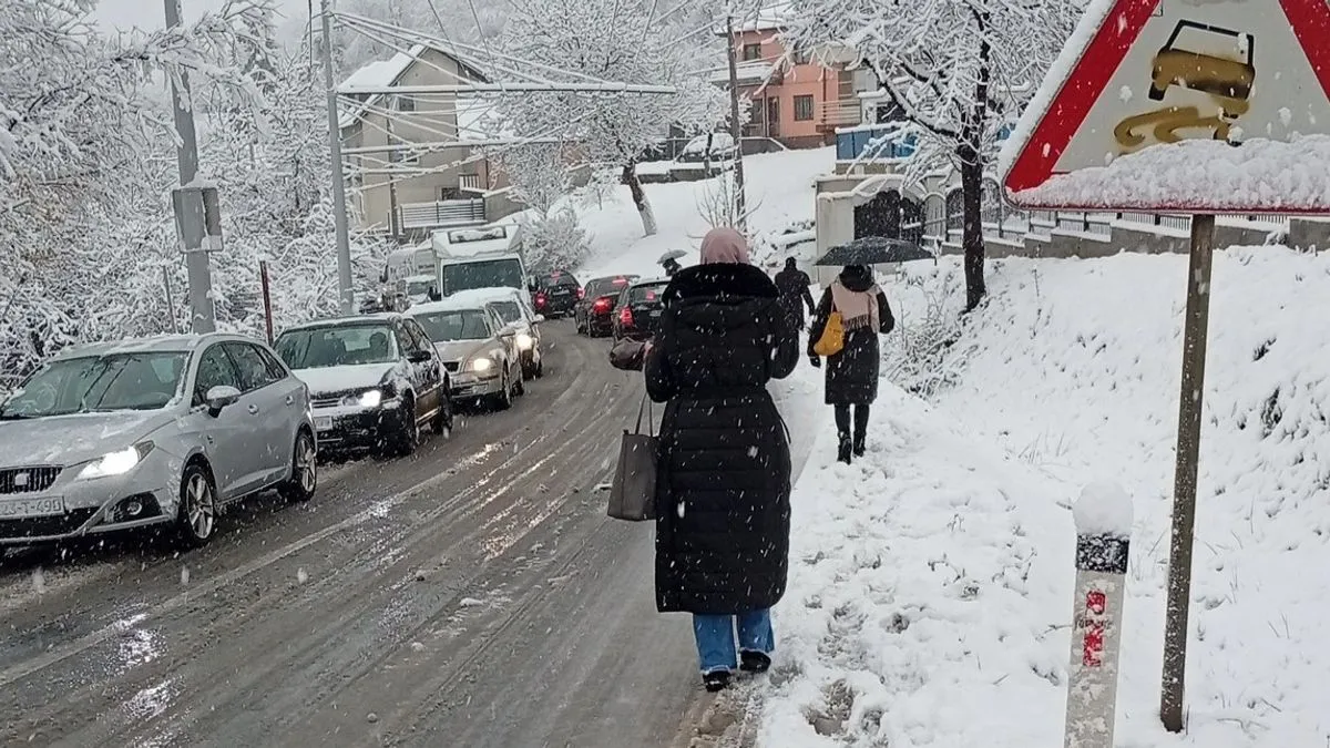 Nadležne službe za čišćenje puteva još jednom su zakazale, pa je već s prvim ozbiljnijim padavinama došlo do zastoja, blokada i otežanog kretanja vozila.