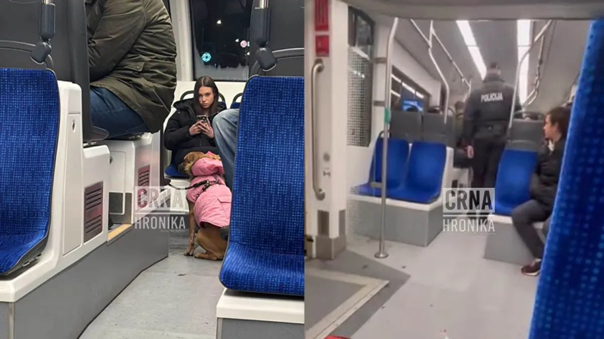 Prema riječima svjedoka, djevojka je sa cukom ušla u tramvaj, ali vozač nije htio nastaviti vožnju