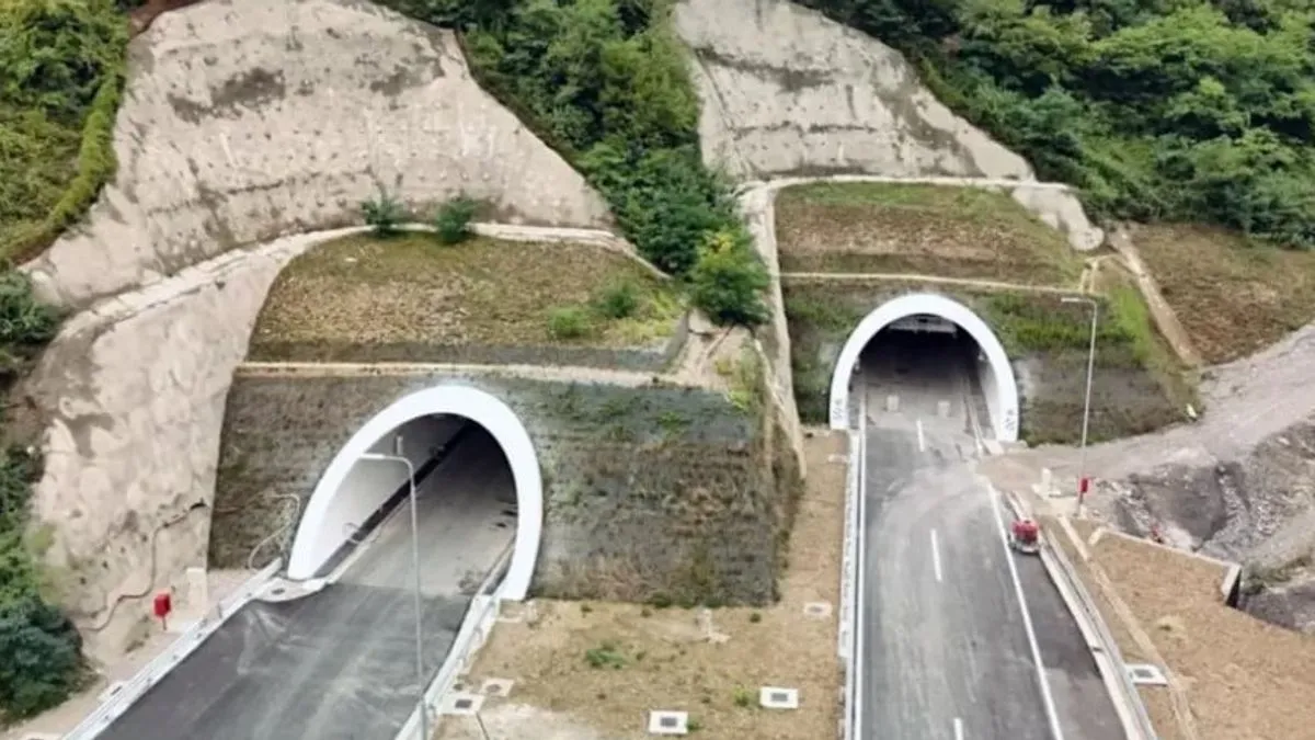 Alun Thomas, nezavisni projektant tunela prije nekoliko je godina ukazao na dvije činjenice koje se vežu za ovaj projekt