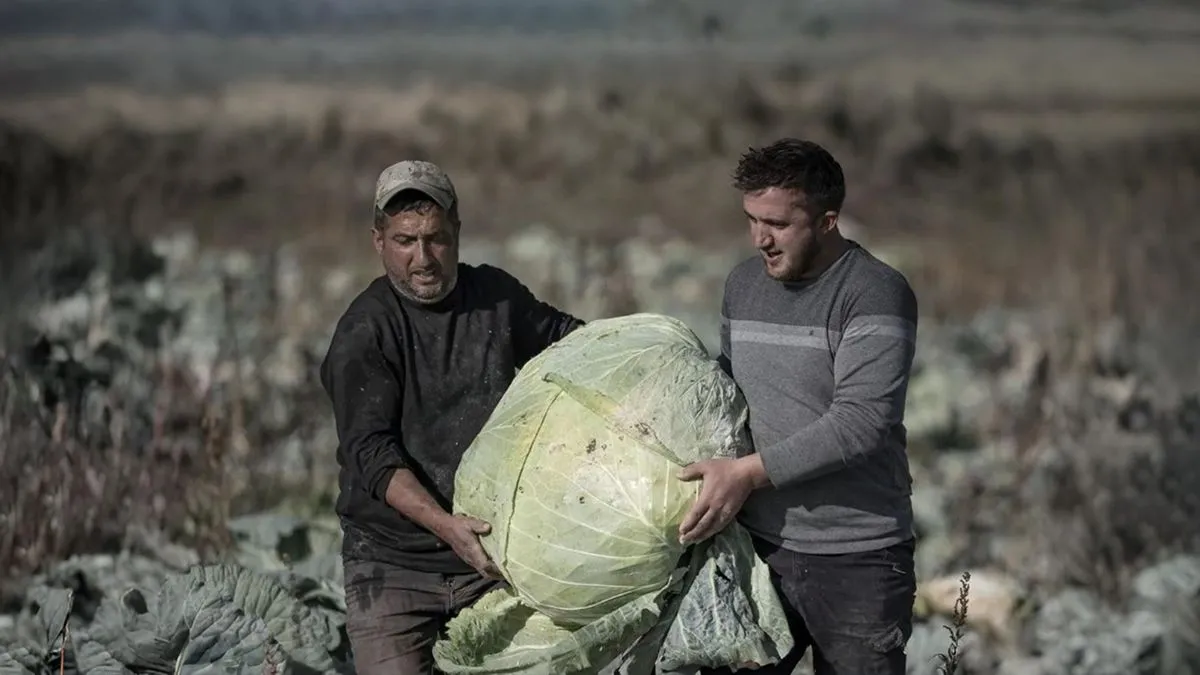 Koristimo sjeme koje potiče od naših djedova, staro više od 100 godina