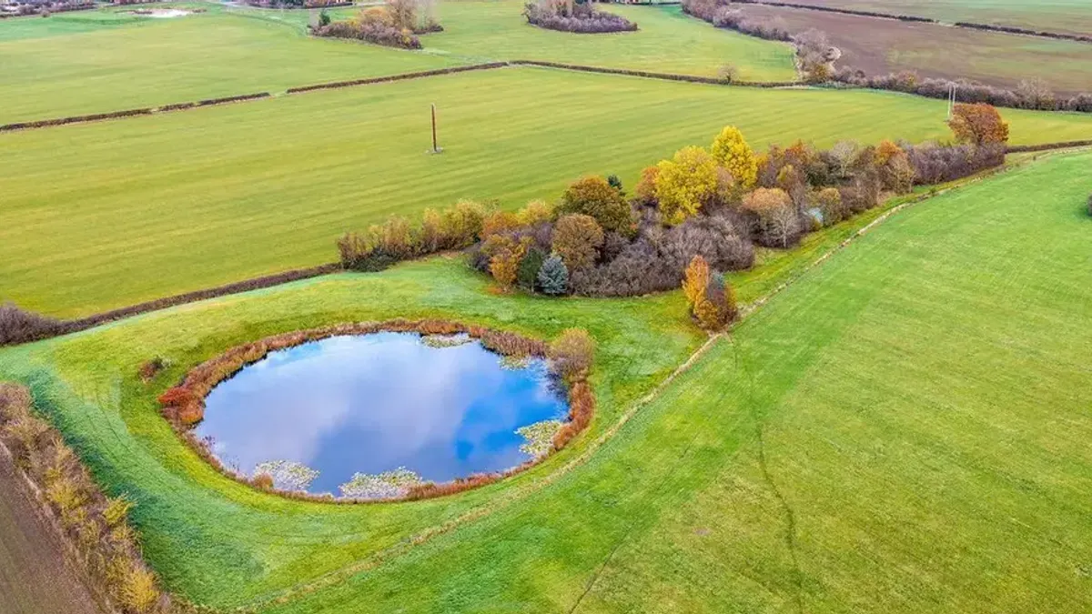 Sjećate li se Tinky Winkyja i ekipe: Evo šta je ostalo od svijeta Teletabisa