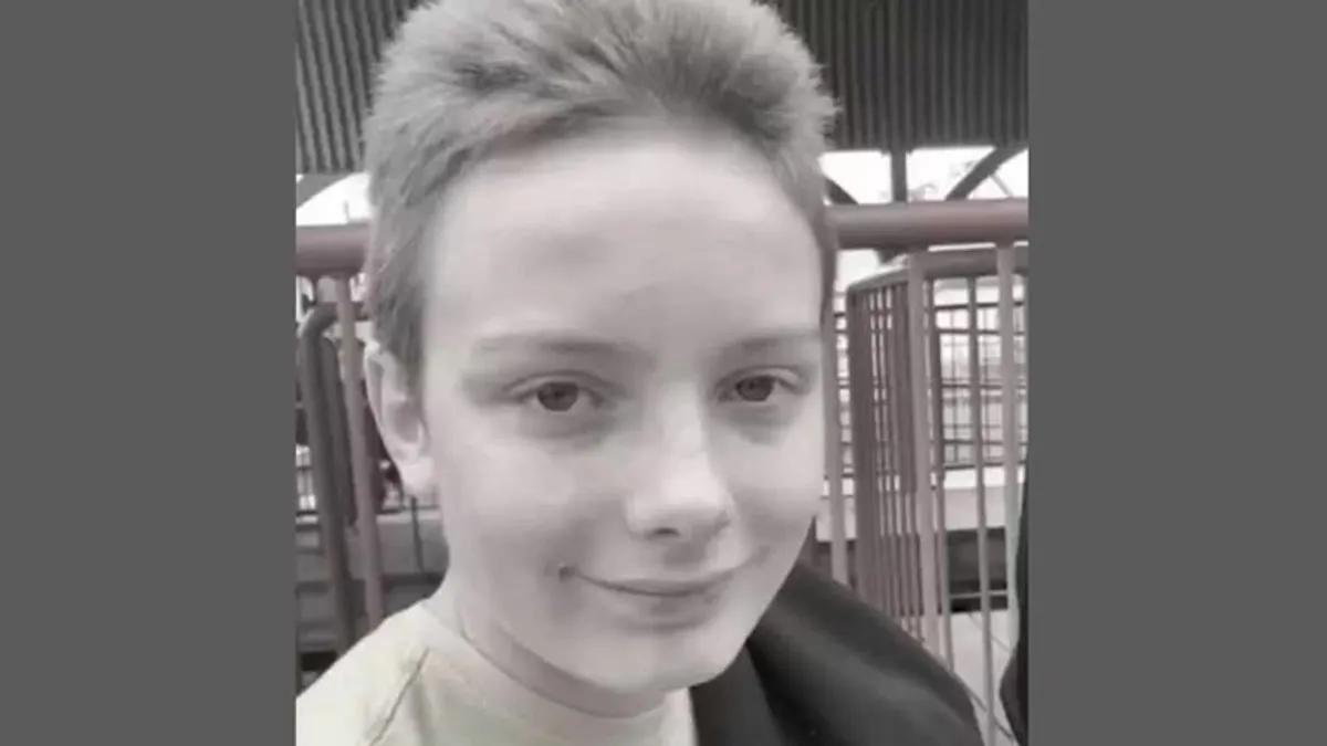 Istragom je utvrđeno da je uzrok smrti vješanje, a vjeruje se da je dječak pokušavao imitirati lika iz spomenute južnokorejske drame