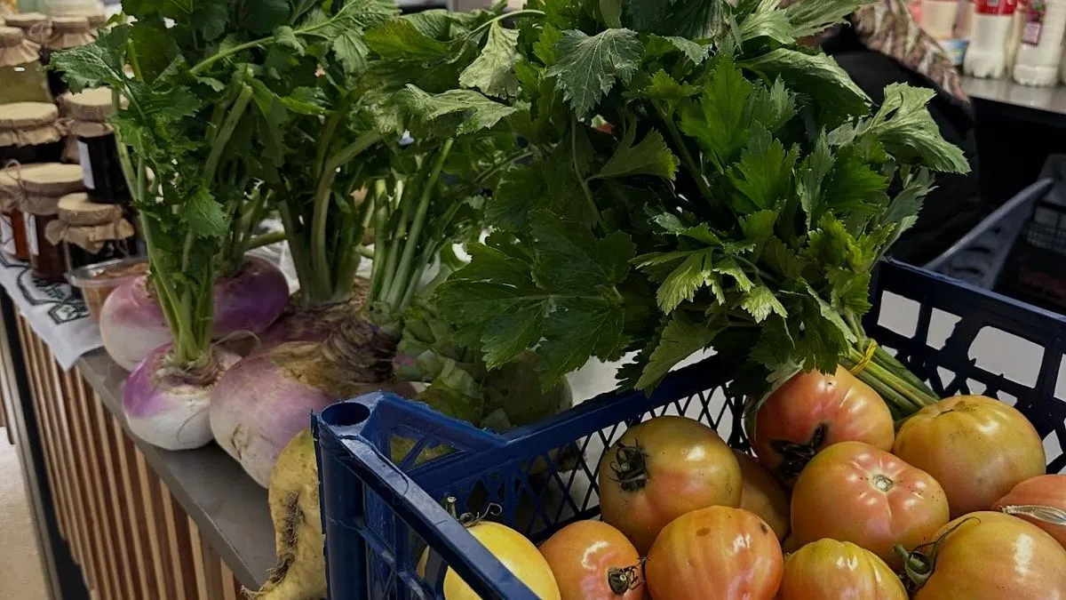 Grad je u ovaj projekat ukupno uložio 1.053.000 konvertibilnih maraka