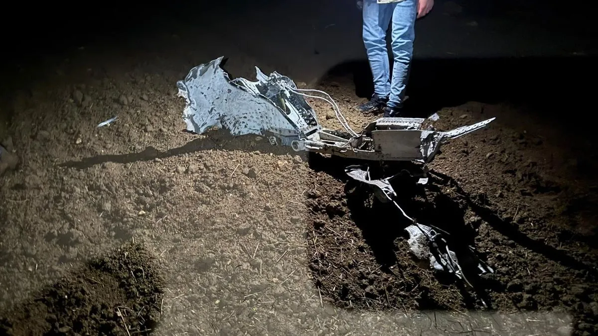 U avionu je bio libijski general Mohamed Ali Ahmed Al-Haddad, zajedno sa pet članova njegove pratnje.