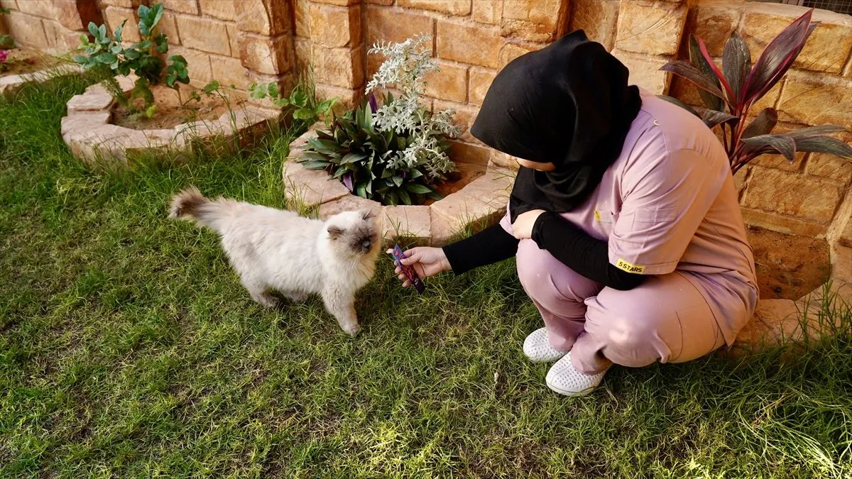 Objekat ima kapacitet za 40 mačaka i raspolaže posebnim sobama za svaku životinju.