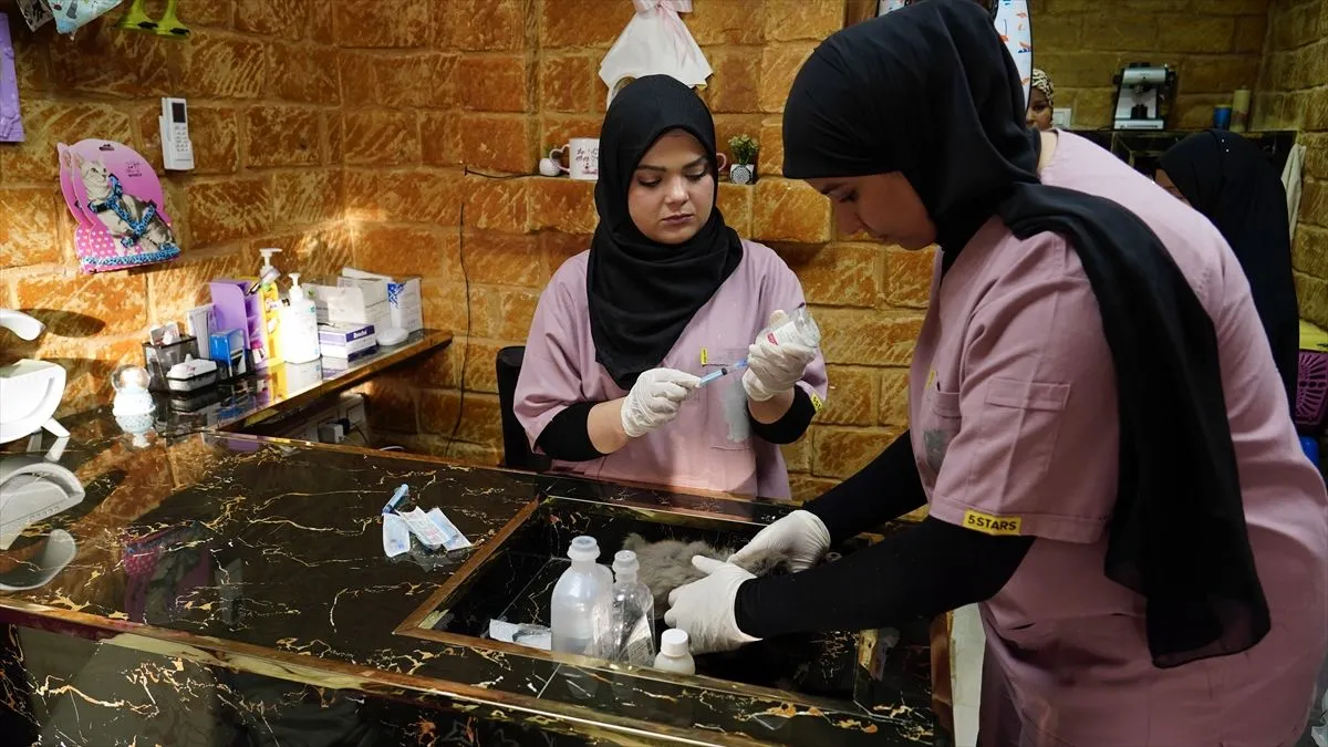 Objekat ima kapacitet za 40 mačaka i raspolaže posebnim sobama za svaku životinju.