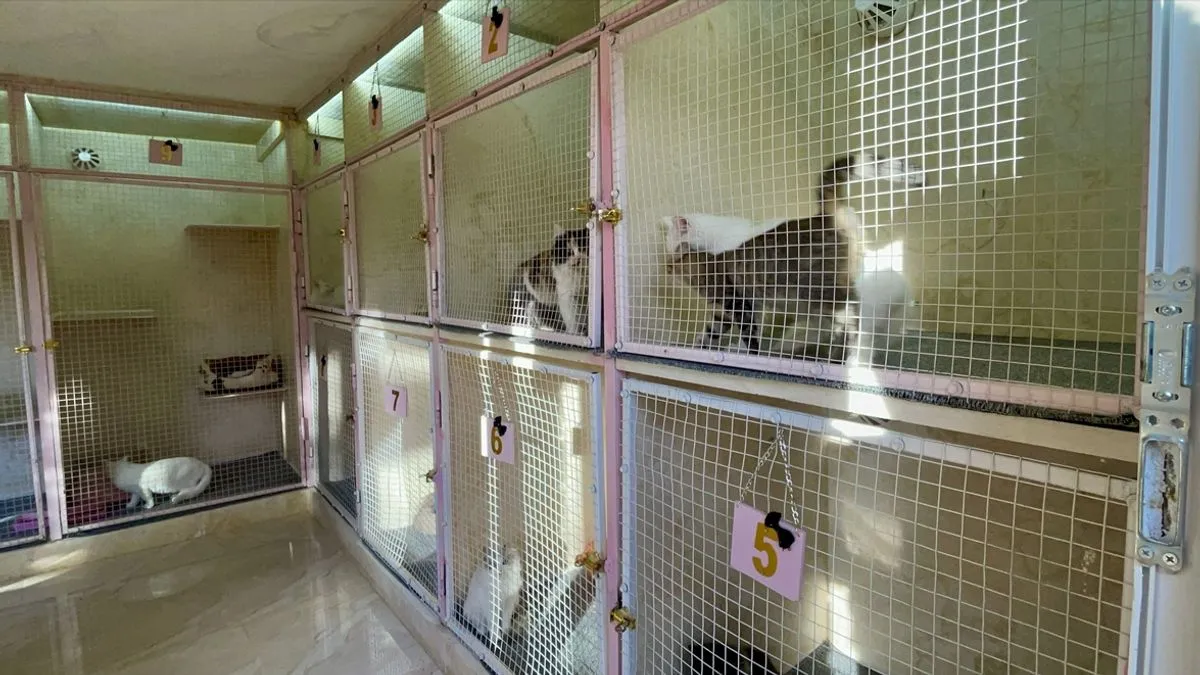 Objekat ima kapacitet za 40 mačaka i raspolaže posebnim sobama za svaku životinju.