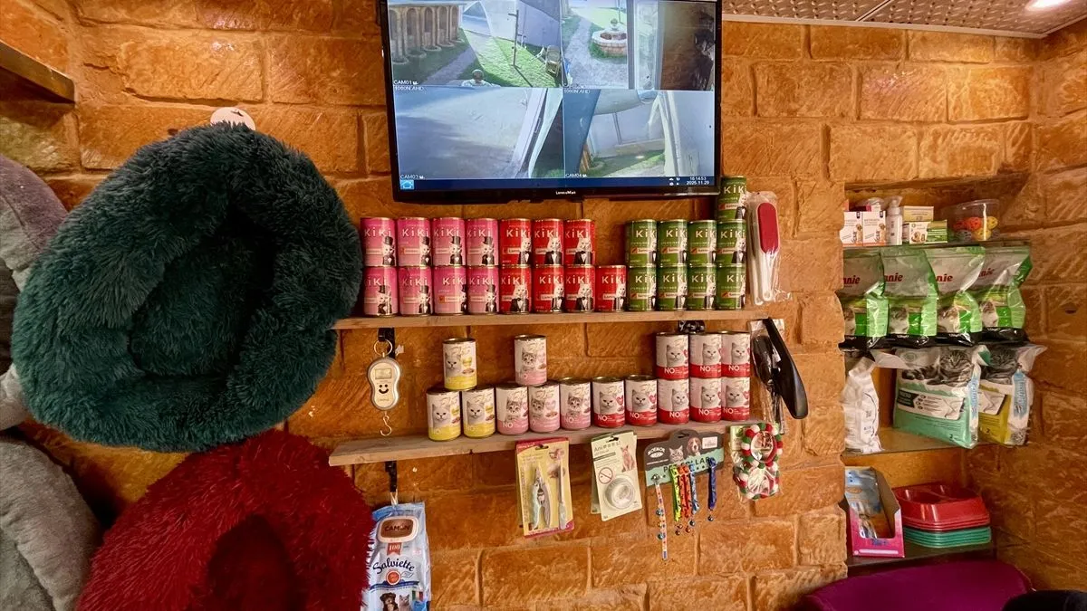 Objekat ima kapacitet za 40 mačaka i raspolaže posebnim sobama za svaku životinju.